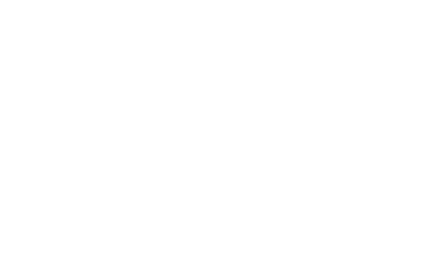 Brave Bear — Events · Visual · Experience