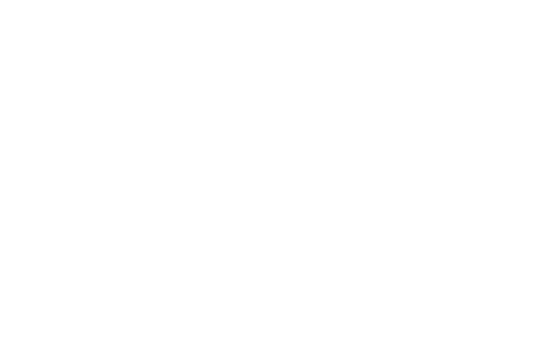 Jetta Cargo