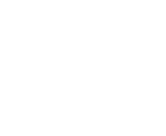 TeamViewer